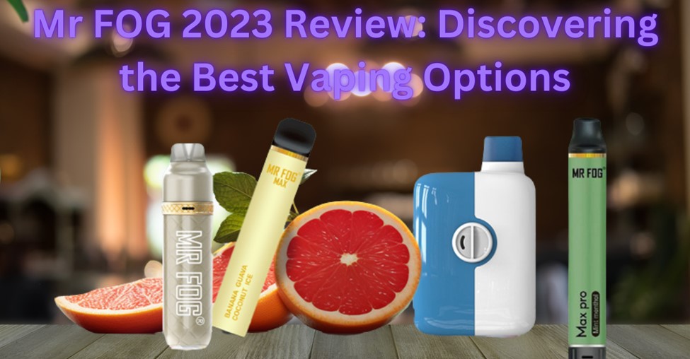 Mr FOG 2023 Review