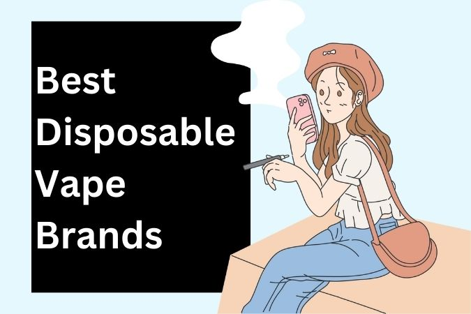Best Disposable Vape Brands.jpeg